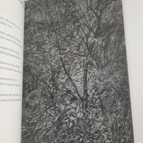 Grandson/Sigmund Freud LUCIAN FREUD ETCHINGS Portraits Coffee Table Book Sketch - Picture 7 of 10